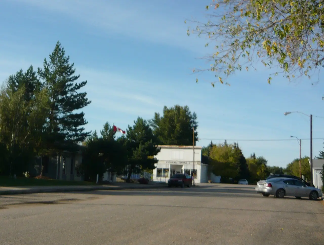 Shepard Street business district with Foster's Store, 2009